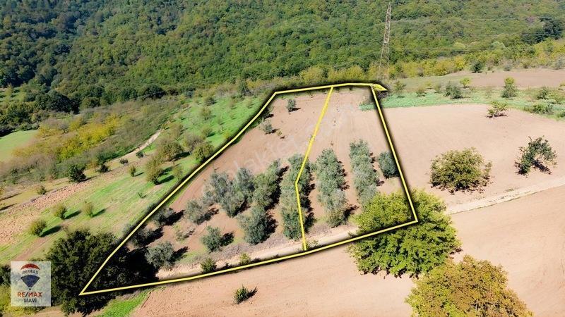 Serdivan Aşağıdereköyde Göl Manzaralı 3.984 M² Yatırımlık Tarla — fotoğraf 7