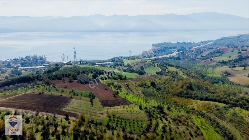 Serdivan Aşağıdereköyde Göl Manzaralı 3.984 M² Yatırımlık Tarla — fotoğraf 10