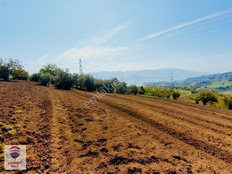 Serdivan Aşağıdereköyde Göl Manzaralı 3.984 M² Yatırımlık Tarla — fotoğraf 11