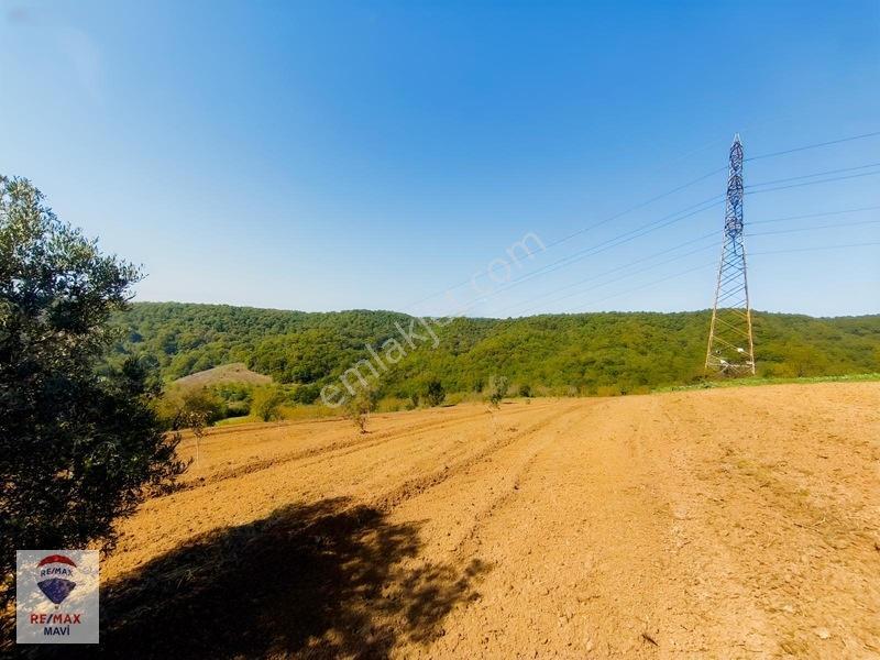 Serdivan Aşağıdereköyde Göl Manzaralı 3.984 M² Yatırımlık Tarla — fotoğraf 12
