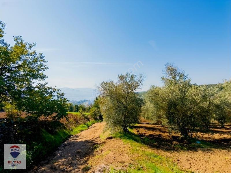 Serdivan Aşağıdereköyde Göl Manzaralı 3.984 M² Yatırımlık Tarla — fotoğraf 14