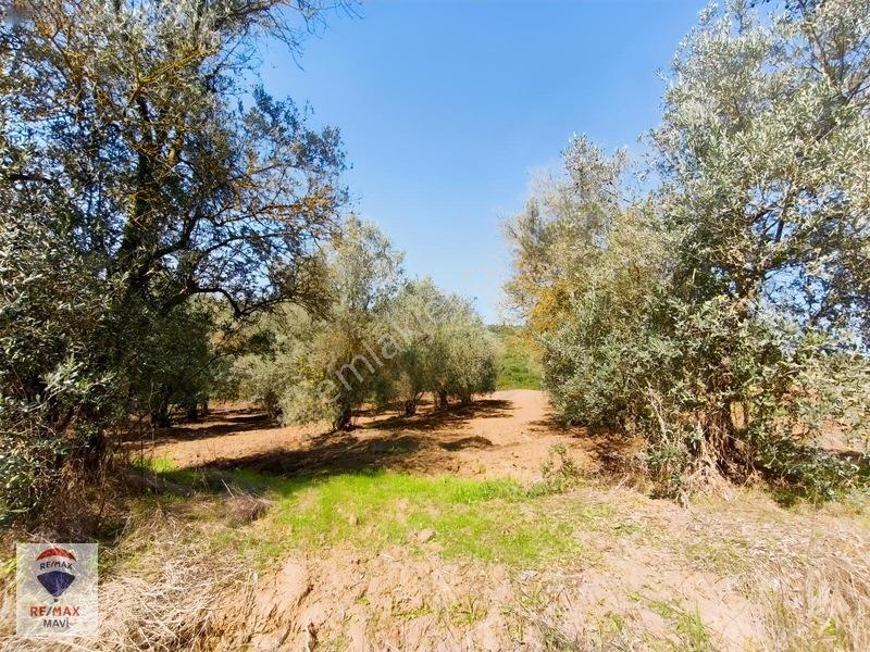 Serdivan Aşağıdereköyde Göl Manzaralı 3.984 M² Yatırımlık Tarla — fotoğraf 15