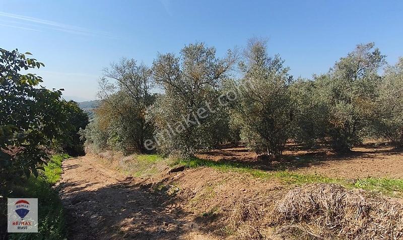 Serdivan Aşağıdereköyde Göl Manzaralı 3.984 M² Yatırımlık Tarla — fotoğraf 17