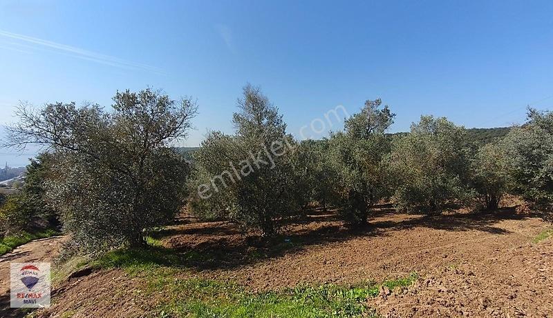 Serdivan Aşağıdereköyde Göl Manzaralı 3.984 M² Yatırımlık Tarla — fotoğraf 18