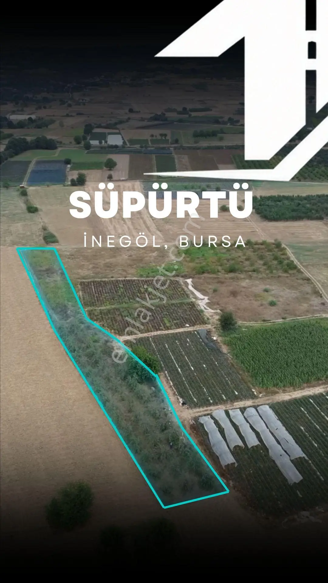 İnegöl’E 7 Km | 90 Yetişkin Erik Ağaçlı 3.300 M² Bahçe