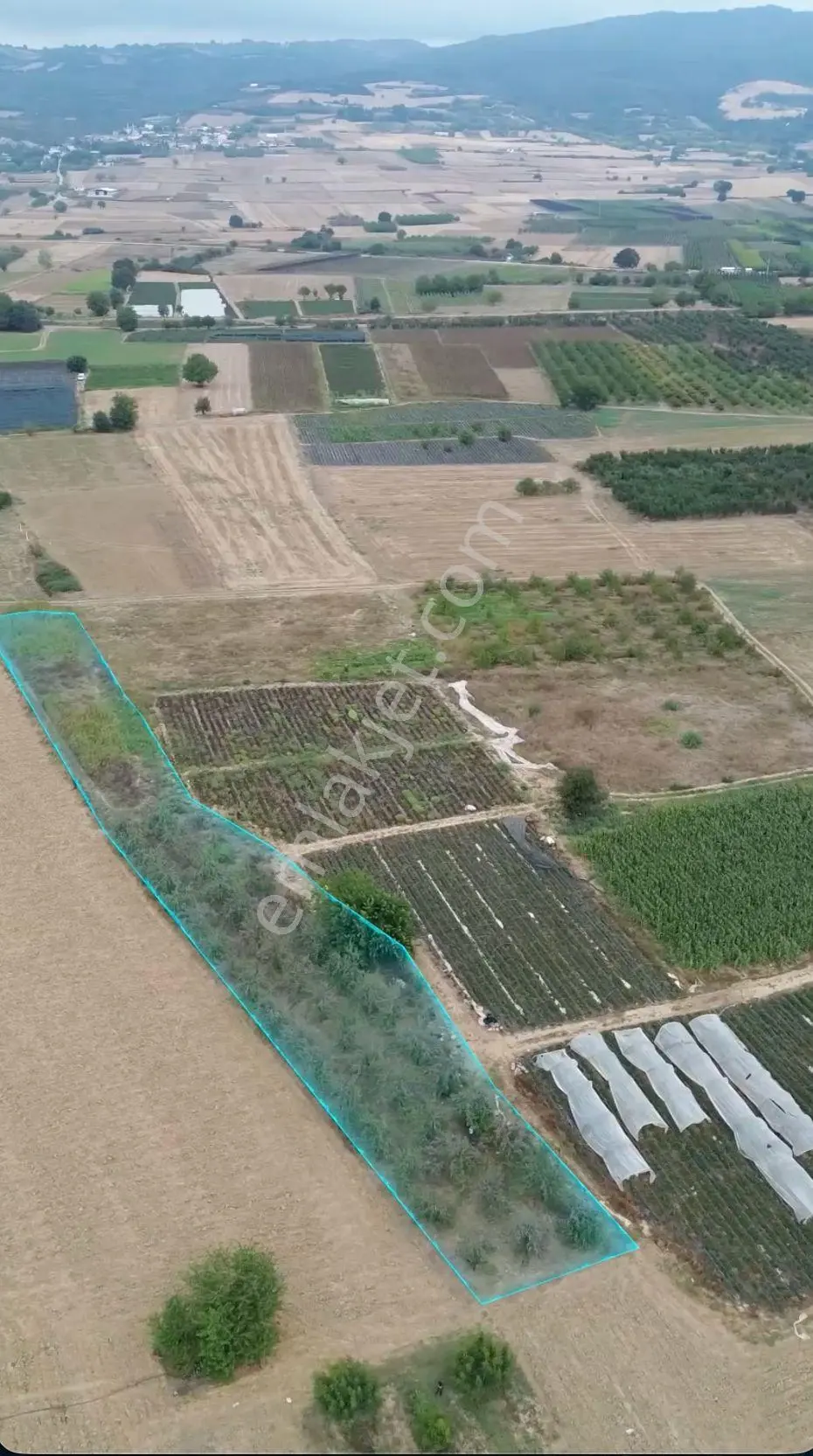 İnegöl’e 7 Km | 90 Yetişkin Erik Ağaçlı 3.300 M² Bahçe — fotoğraf 4
