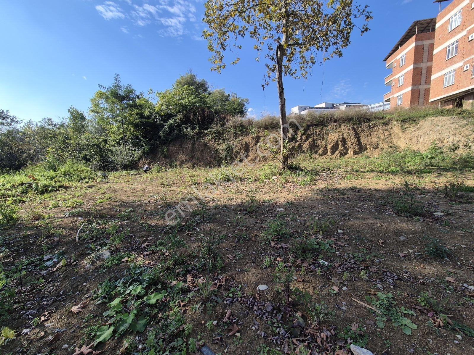 Üstün Avize Karşısı Müstakil Ev Yapılabilecek Fırsat Arsa — fotoğraf 12