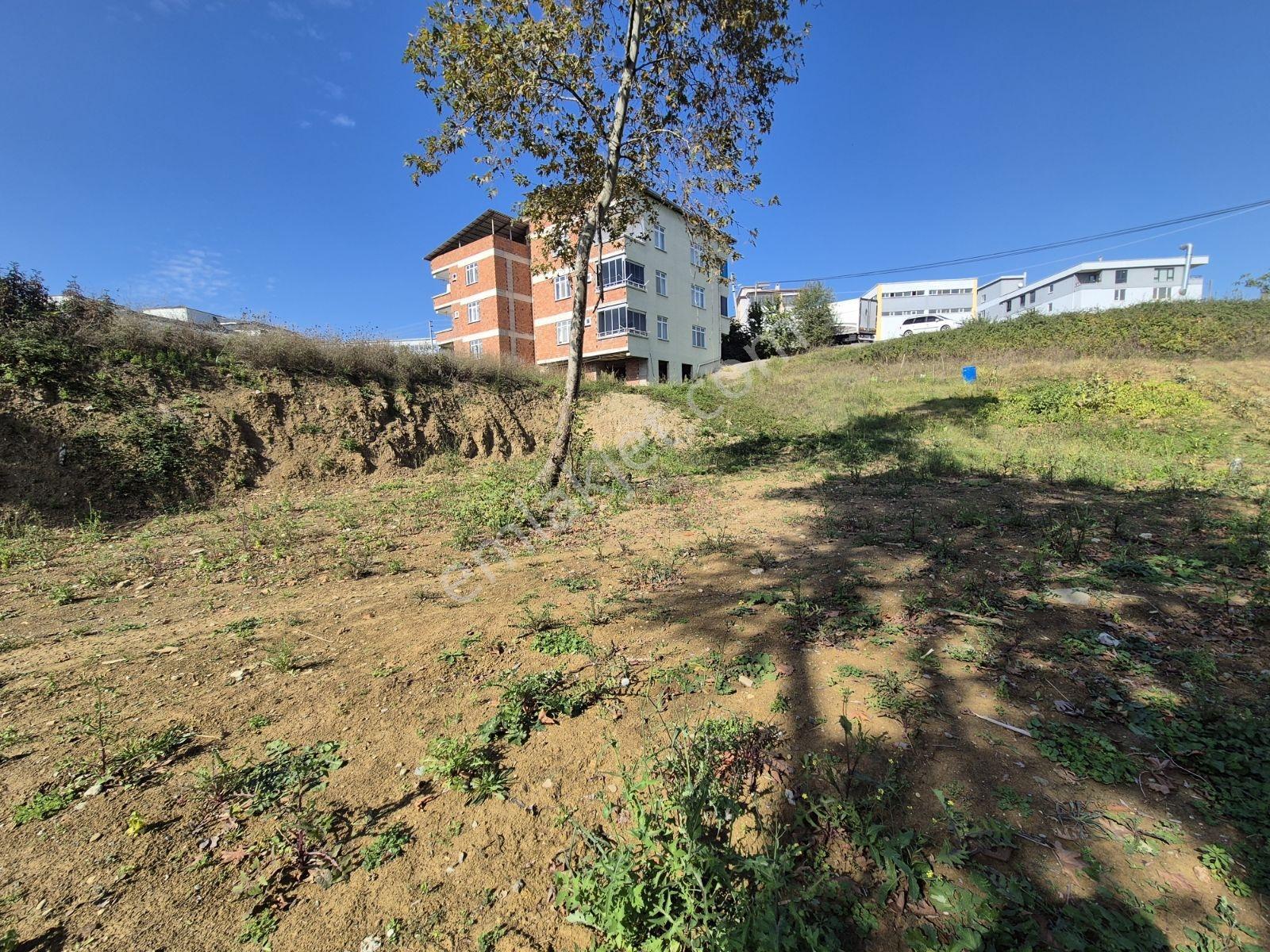 Üstün Avize Karşısı Müstakil Ev Yapılabilecek Fırsat Arsa — fotoğraf 16