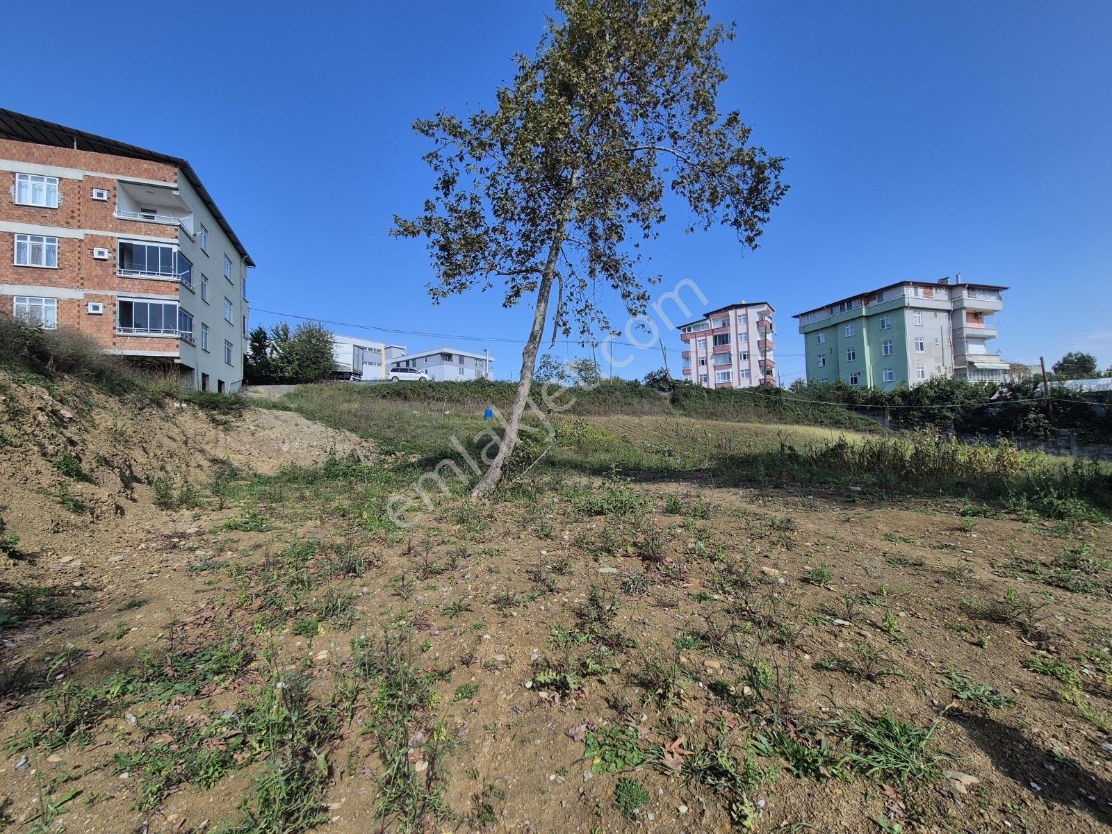 Üstün Avize Karşısı Müstakil Ev Yapılabilecek Fırsat Arsa — fotoğraf 22