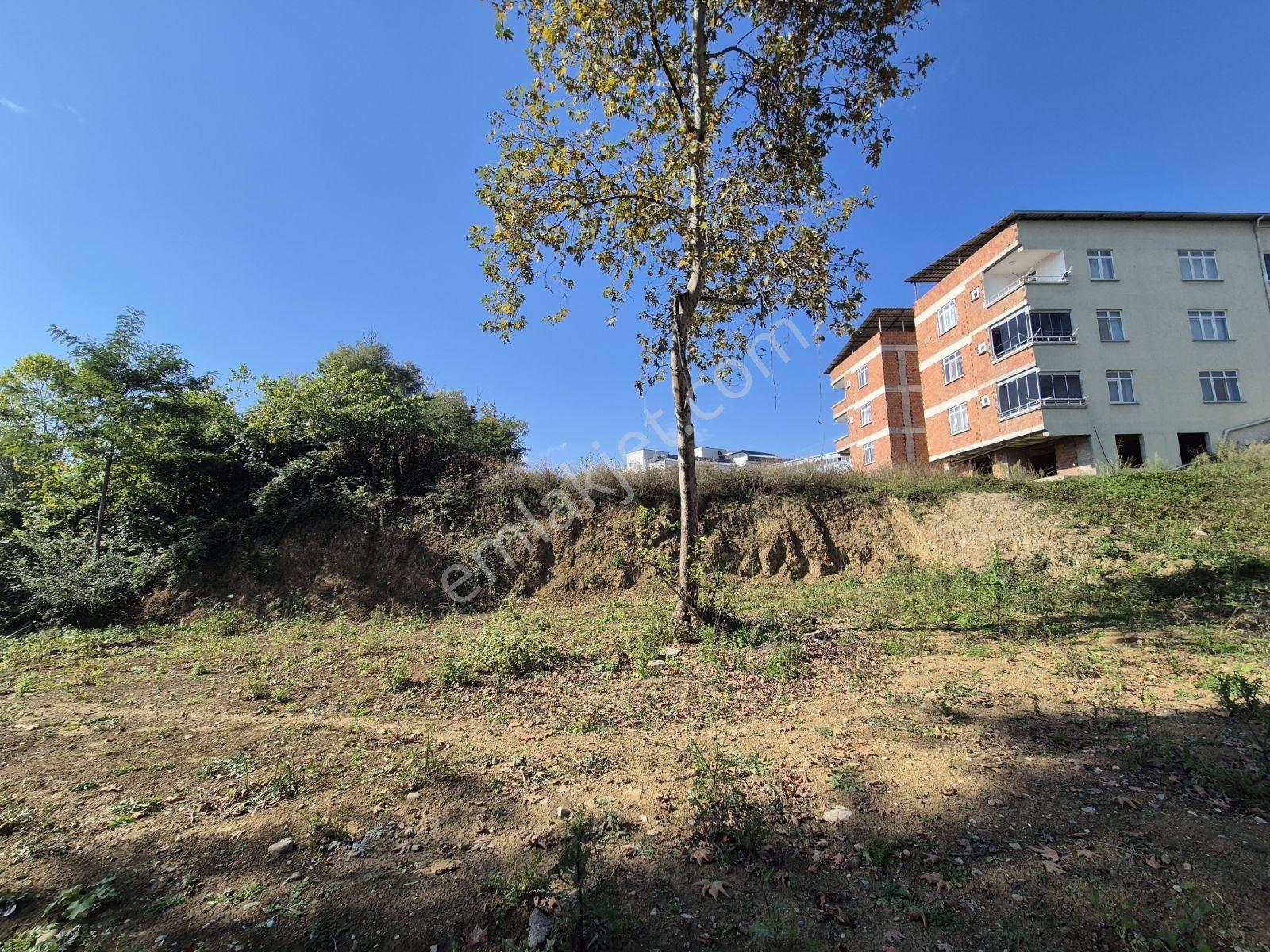 Üstün Avize Karşısı Müstakil Ev Yapılabilecek Fırsat Arsa — fotoğraf 31