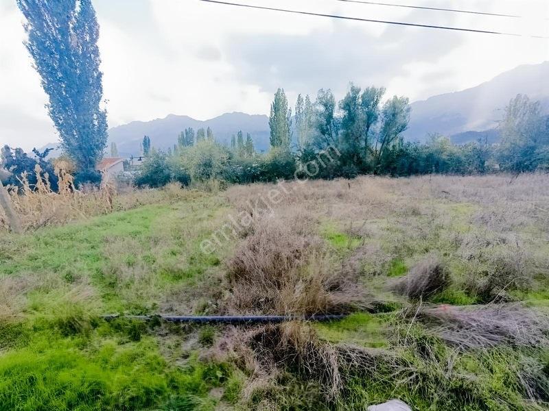 Konya Seydişehir Taraşcı Da Usanmaz Emlak Satılık Köy İçi Bahçe