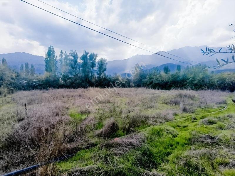 Konya Seydişehir Taraşcı Da Usanmaz Emlak Satılık Köy İçi Bahçe — fotoğraf 3