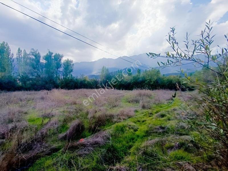 Konya Seydişehir Taraşcı Da Usanmaz Emlak Satılık Köy İçi Bahçe — fotoğraf 4