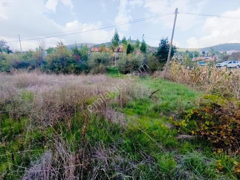 Konya Seydişehir Taraşcı Da Usanmaz Emlak Satılık Köy İçi Bahçe — fotoğraf 8