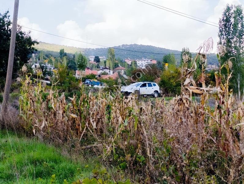 Konya Seydişehir Taraşcı Da Usanmaz Emlak Satılık Köy İçi Bahçe — fotoğraf 10