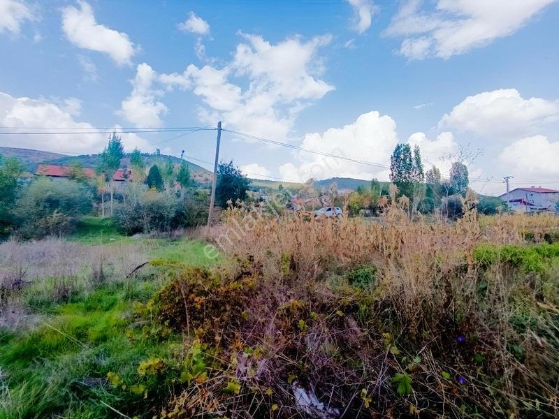 Konya Seydişehir Taraşcı Da Usanmaz Emlak Satılık Köy İçi Bahçe — fotoğraf 11