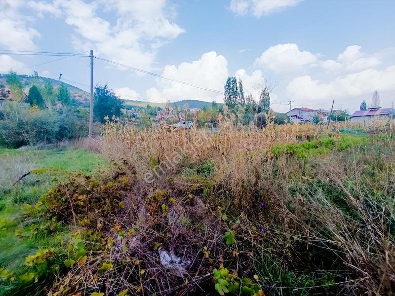 Konya Seydişehir Taraşcı Da Usanmaz Emlak Satılık Köy İçi Bahçe — fotoğraf 13