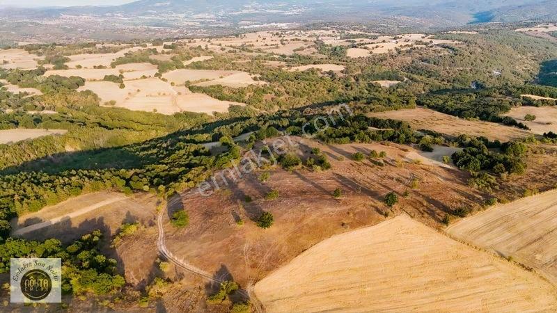 Nokta Emlak'Dan Satılık Resmi Yola Cepheli 8.500 M2 Tarla