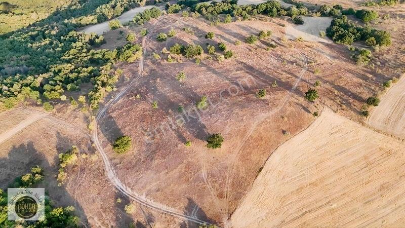 Nokta Emlak'dan Satılık Resmi Yola Cepheli 8.500 M2 Tarla — fotoğraf 3