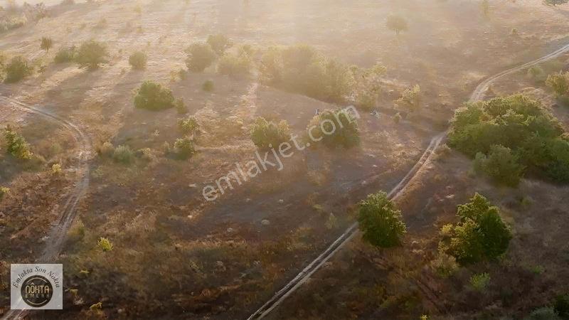 Nokta Emlak'dan Satılık Resmi Yola Cepheli 8.500 M2 Tarla — fotoğraf 6