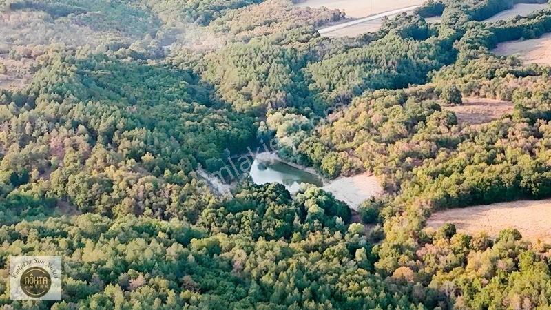 Nokta Emlak'dan Satılık Resmi Yola Cepheli 8.500 M2 Tarla — fotoğraf 7