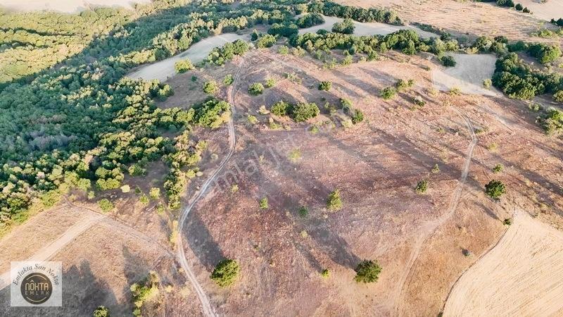 Nokta Emlak'dan Satılık Resmi Yola Cepheli 8.500 M2 Tarla — fotoğraf 8