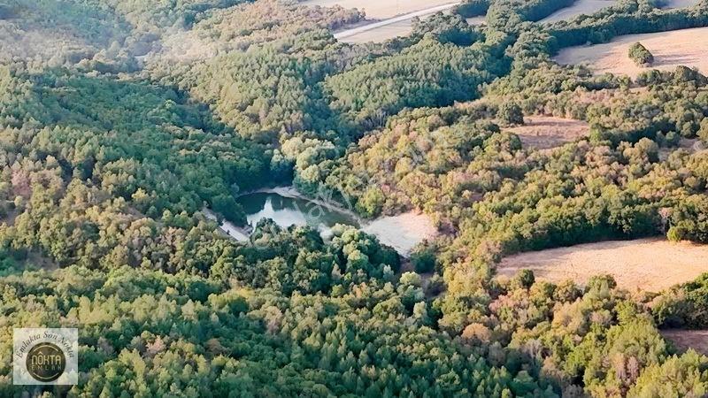 Nokta Emlak'dan Satılık Resmi Yola Cepheli 8.500 M2 Tarla — fotoğraf 9