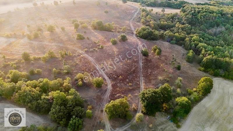 Nokta Emlak'dan Satılık Resmi Yola Cepheli 8.500 M2 Tarla — fotoğraf 10