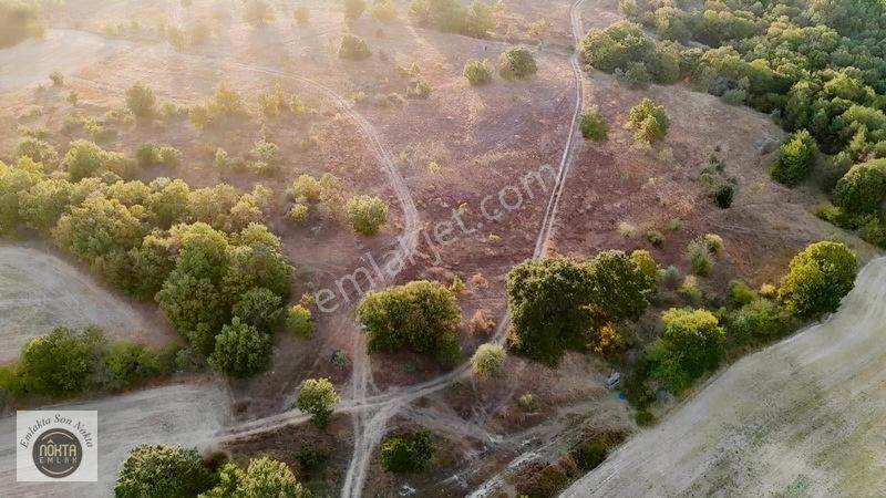 Nokta Emlak'dan Satılık Resmi Yola Cepheli 8.500 M2 Tarla — fotoğraf 11
