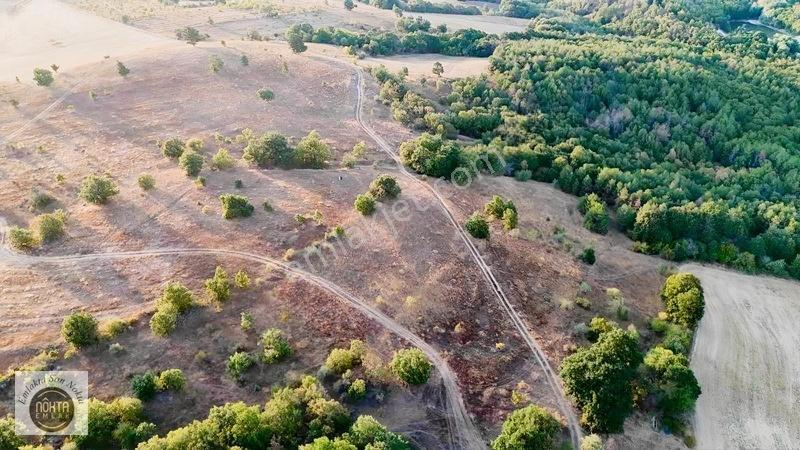 Nokta Emlak'dan Satılık Resmi Yola Cepheli 8.500 M2 Tarla — fotoğraf 12