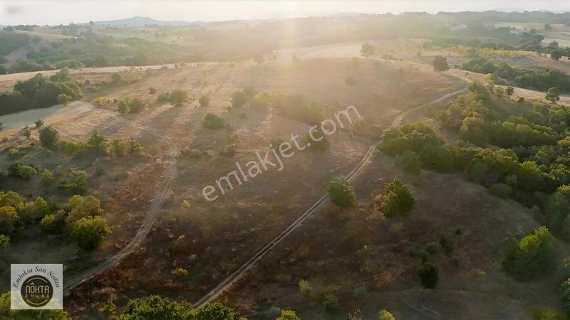 Nokta Emlak'dan Satılık Resmi Yola Cepheli 8.500 M2 Tarla — fotoğraf 13
