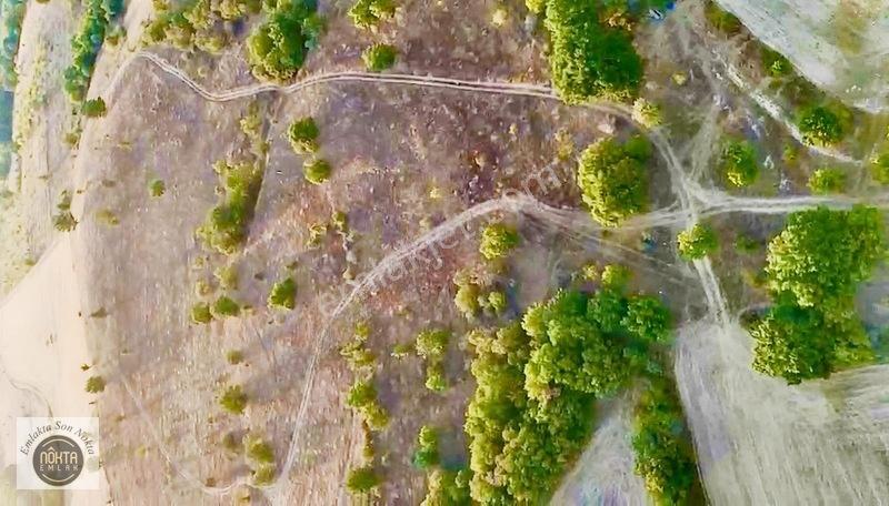 Nokta Emlak'dan Satılık Resmi Yola Cepheli 8.500 M2 Tarla — fotoğraf 15
