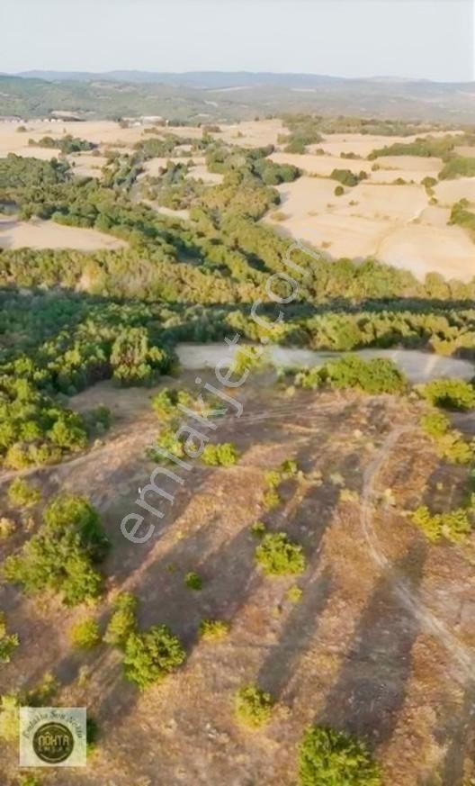 Nokta Emlak'dan Satılık Resmi Yola Cepheli 8.500 M2 Tarla — fotoğraf 16