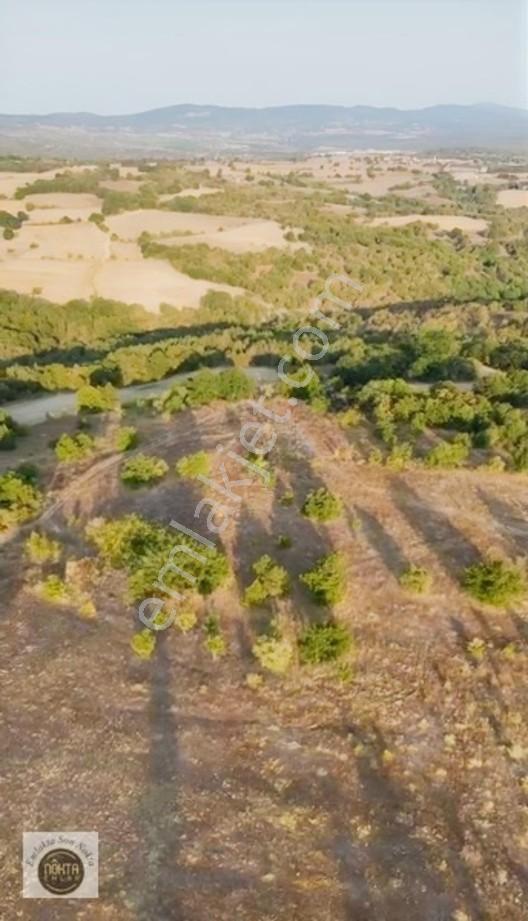 Nokta Emlak'dan Satılık Resmi Yola Cepheli 8.500 M2 Tarla — fotoğraf 17