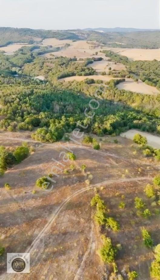 Nokta Emlak'dan Satılık Resmi Yola Cepheli 8.500 M2 Tarla — fotoğraf 18