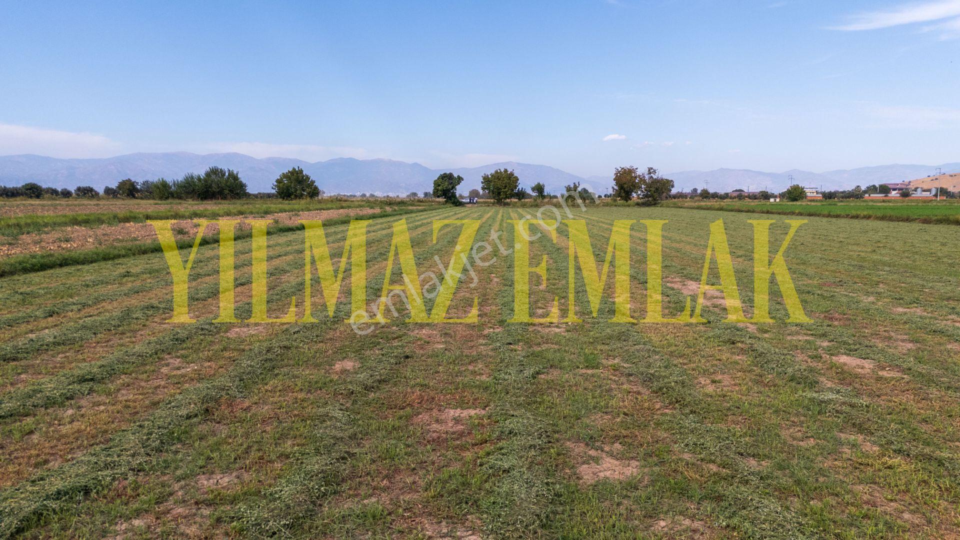 Nazilli Esenköy'de Satılık 8158 M² Doğa Manzaralı Tarla — fotoğraf 2