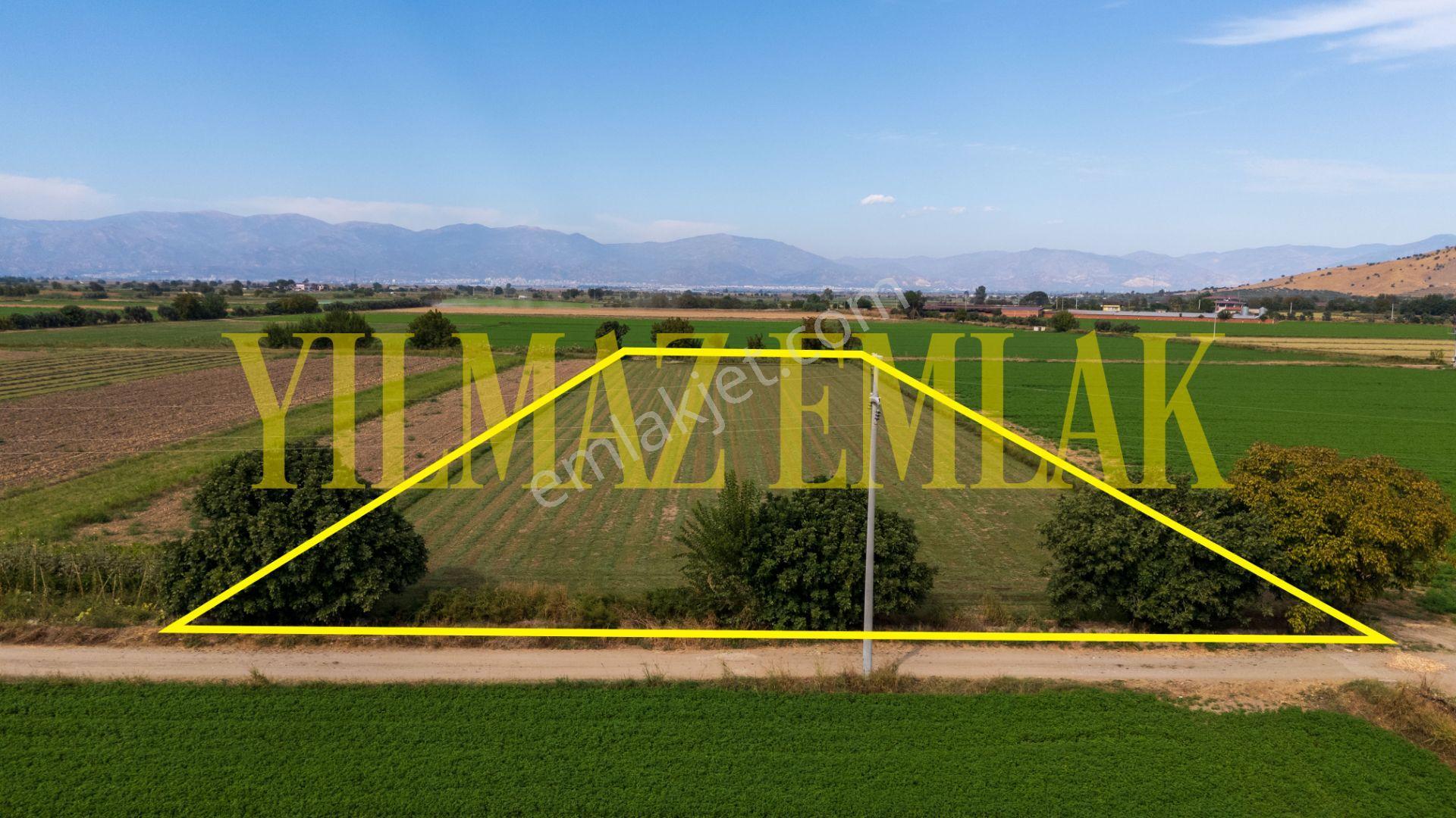 Nazilli Esenköy'de Satılık 8158 M² Doğa Manzaralı Tarla — fotoğraf 3