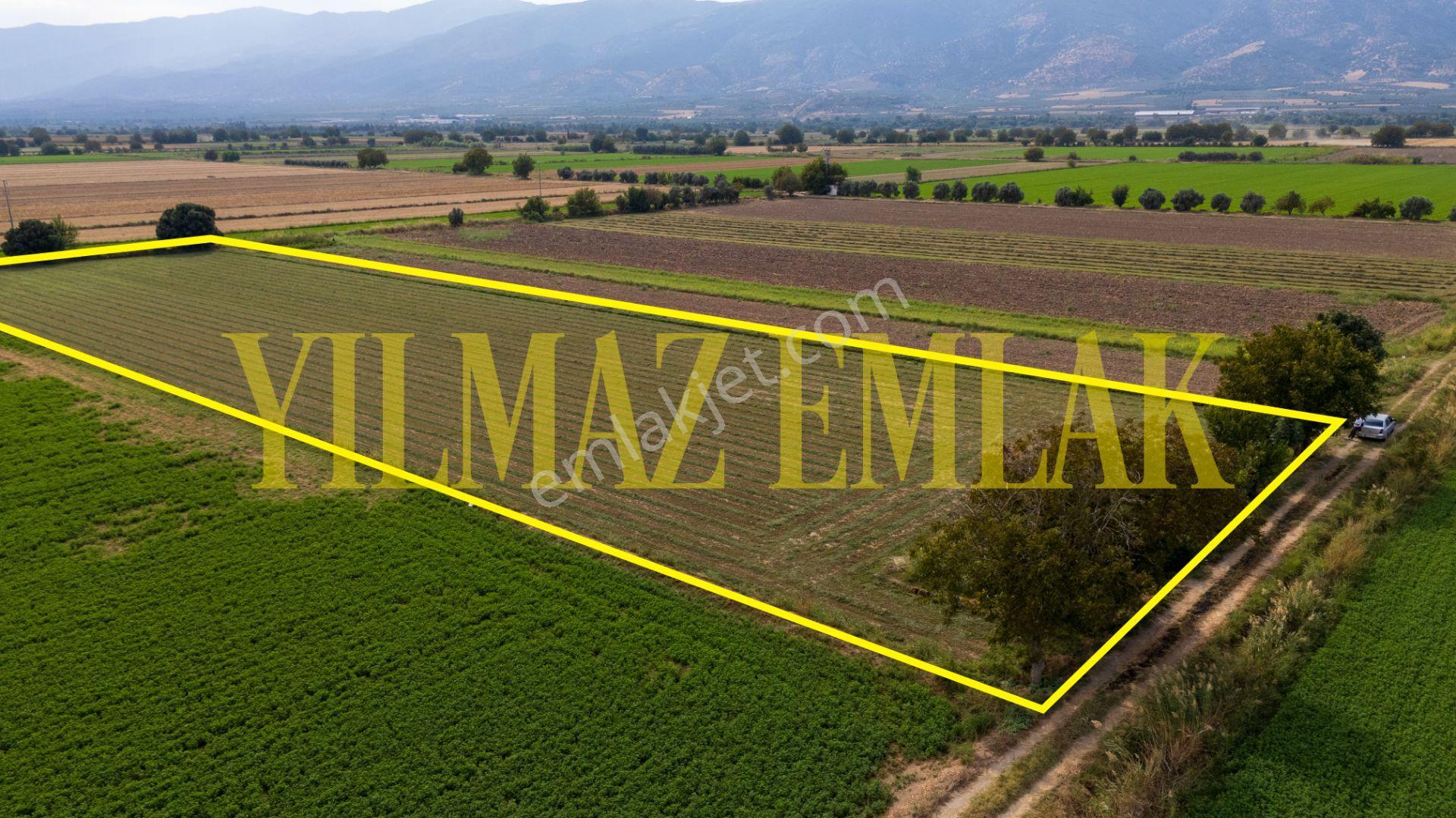 Nazilli Esenköy'de Satılık 8158 M² Doğa Manzaralı Tarla — fotoğraf 4