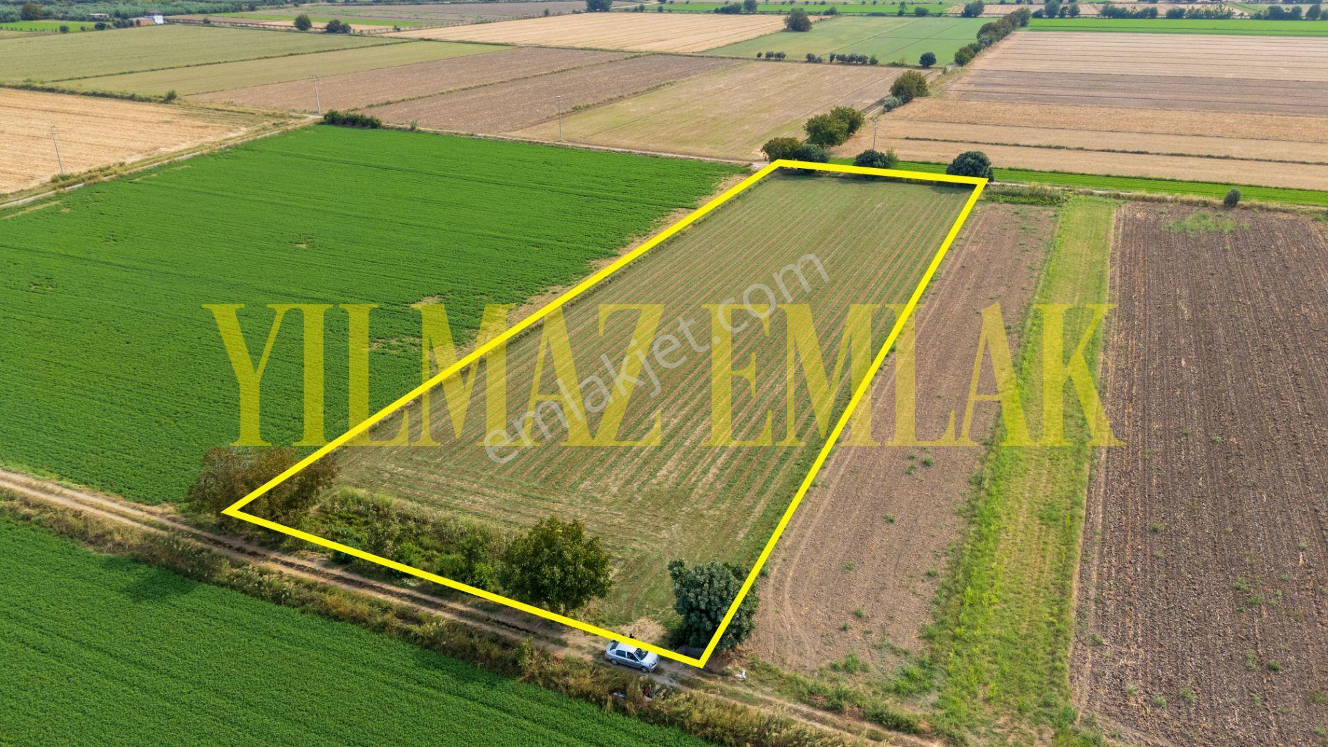 Nazilli Esenköy'de Satılık 8158 M² Doğa Manzaralı Tarla — fotoğraf 5