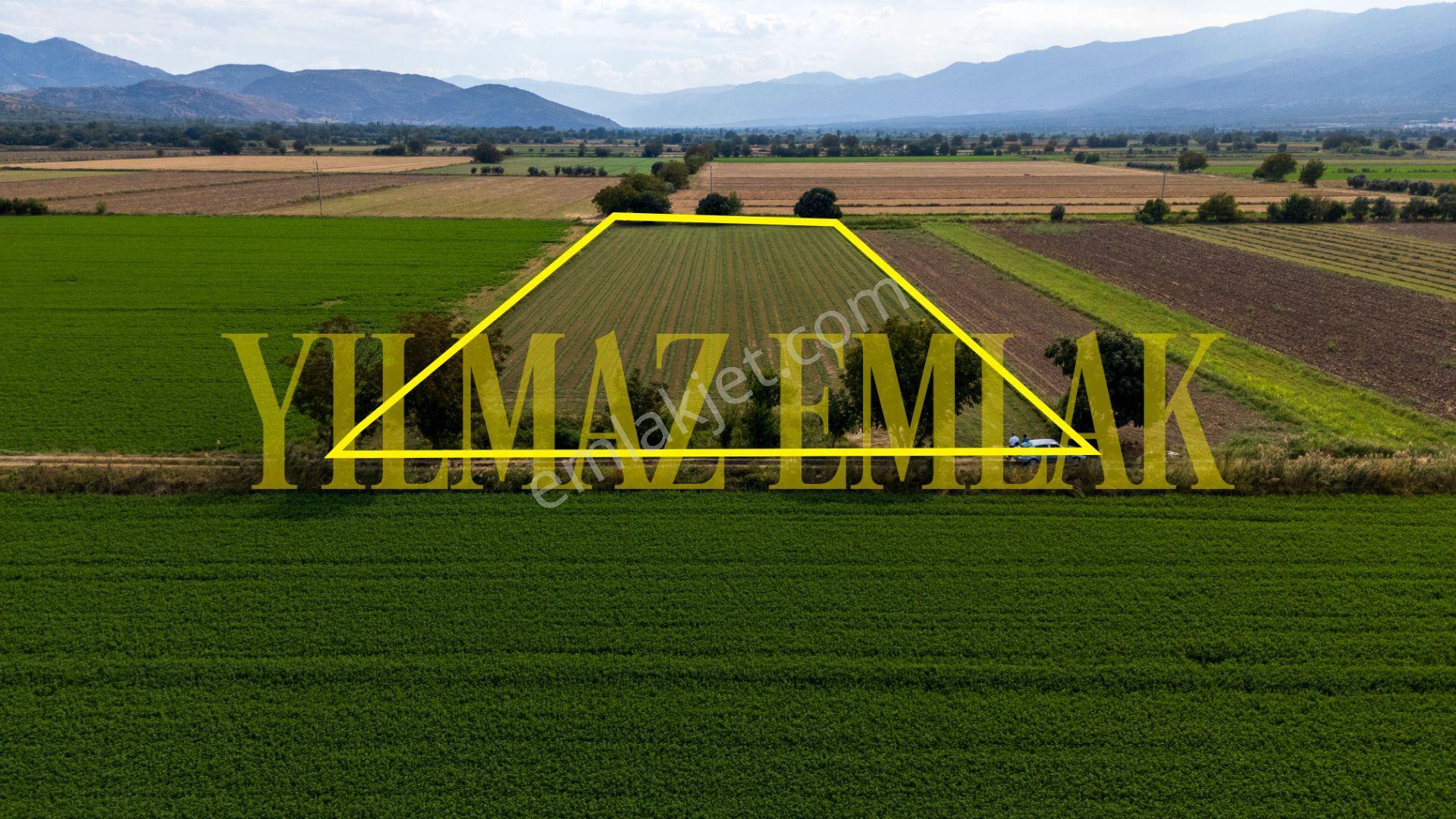 Nazilli Esenköy'de Satılık 8158 M² Doğa Manzaralı Tarla — fotoğraf 6