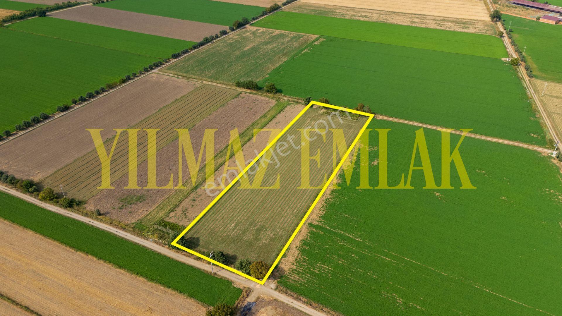 Nazilli Esenköy'de Satılık 8158 M² Doğa Manzaralı Tarla — fotoğraf 7