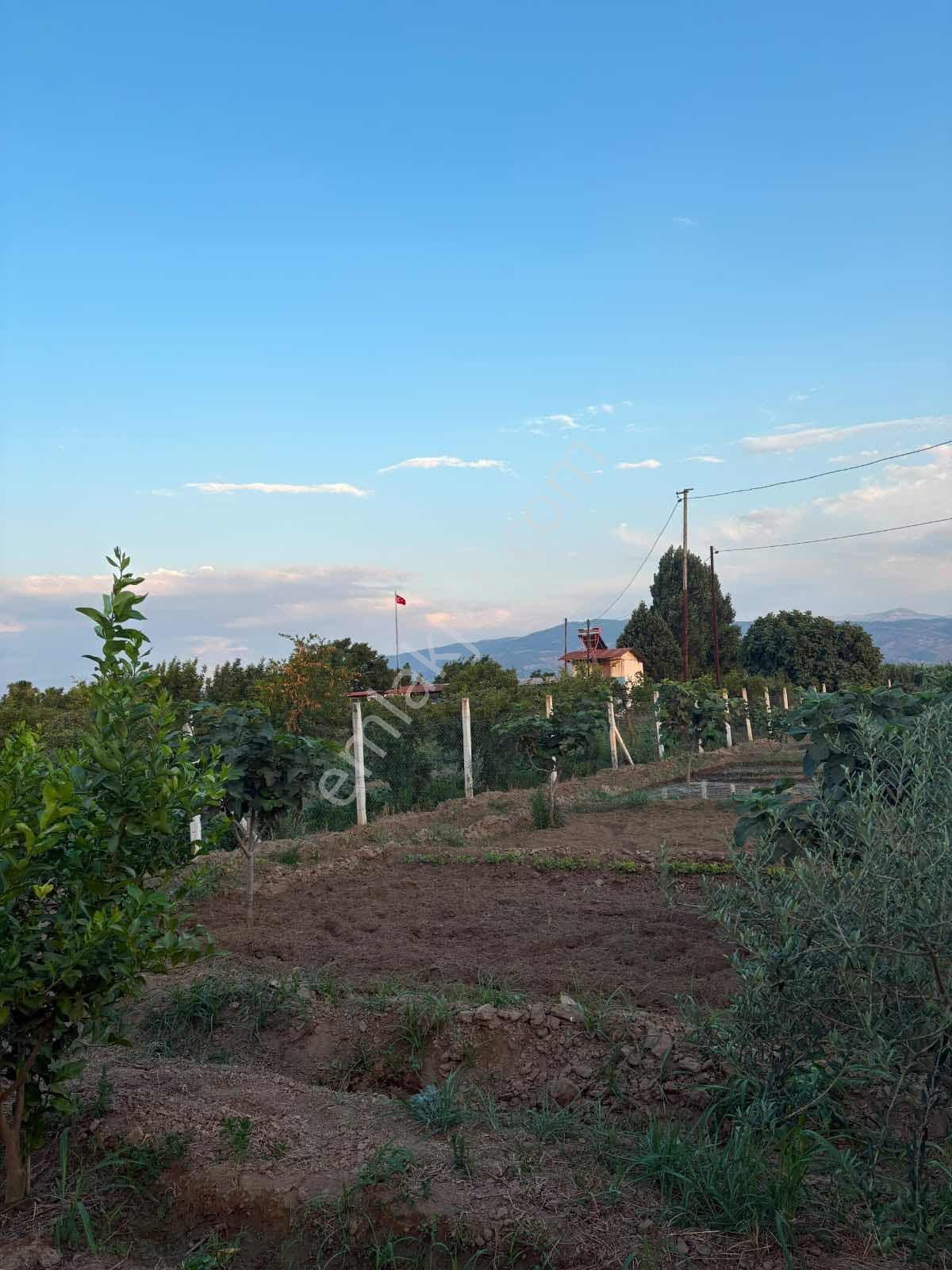 Musem Gayrimenkul'den Satılık Tarla — fotoğraf 3