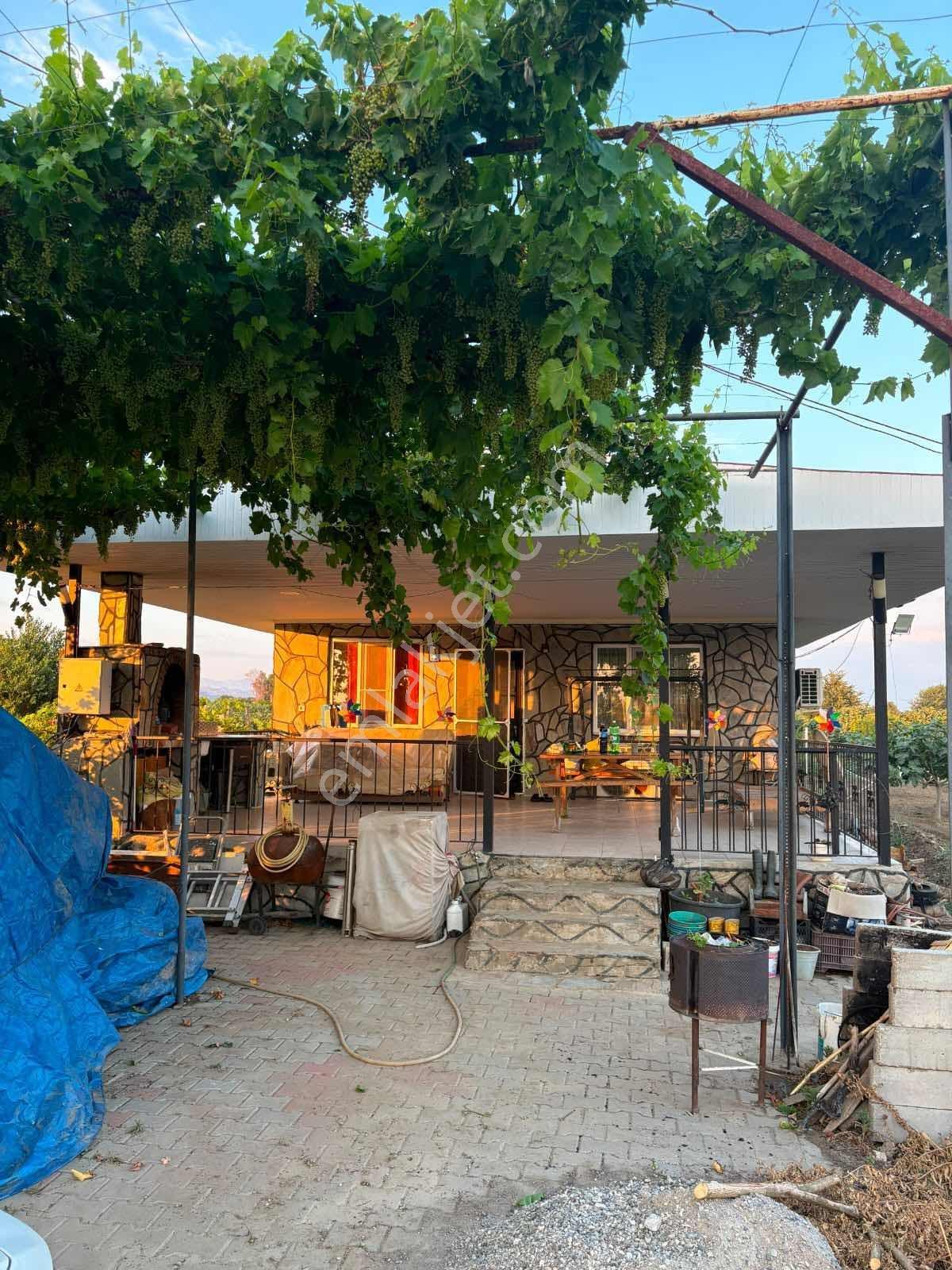 Musem Gayrimenkul'den Satılık Tarla — fotoğraf 12