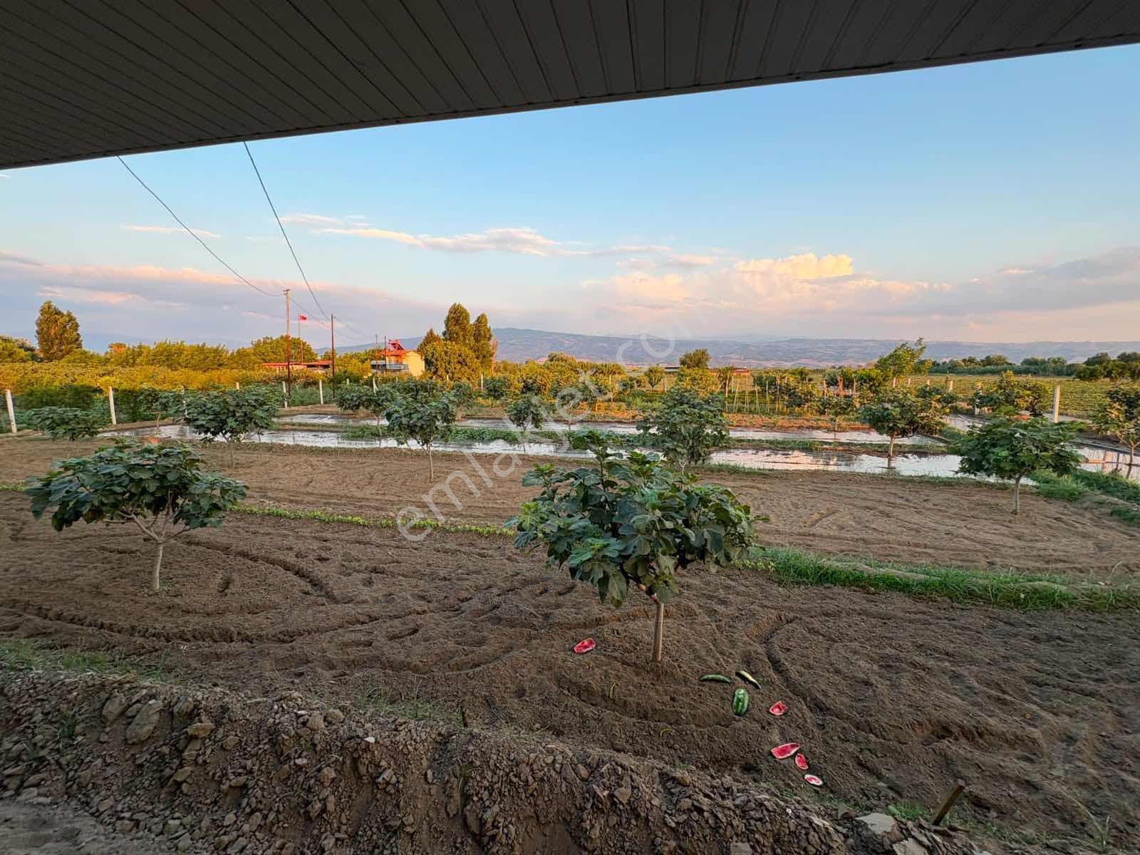 Musem Gayrimenkul'den Satılık Tarla — fotoğraf 14