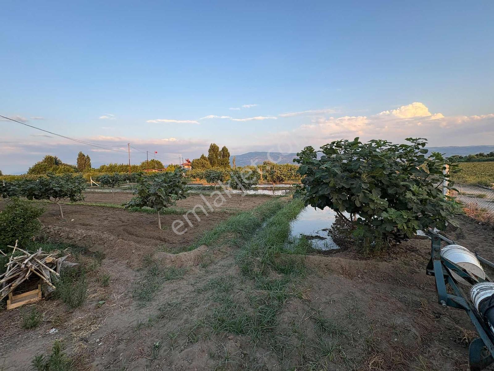 Musem Gayrimenkul'den Satılık Tarla — fotoğraf 16