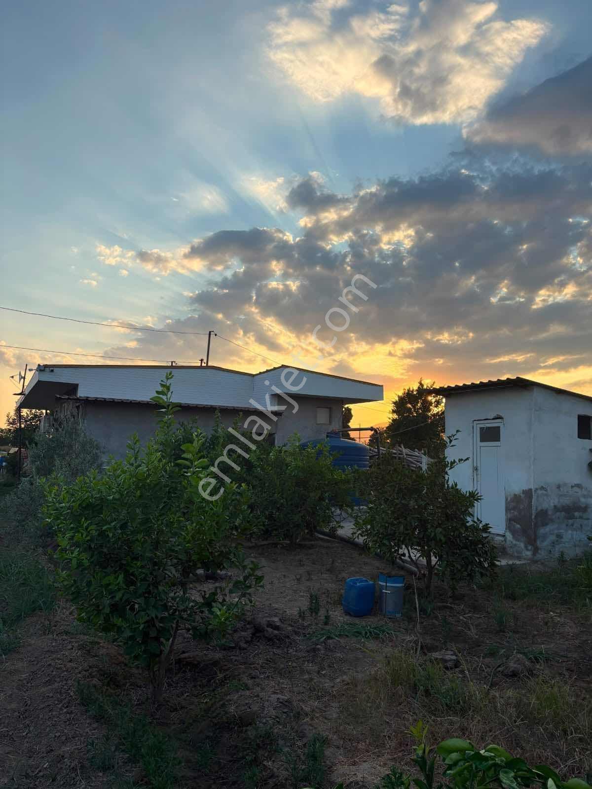 Musem Gayrimenkul'den Satılık Tarla — fotoğraf 17