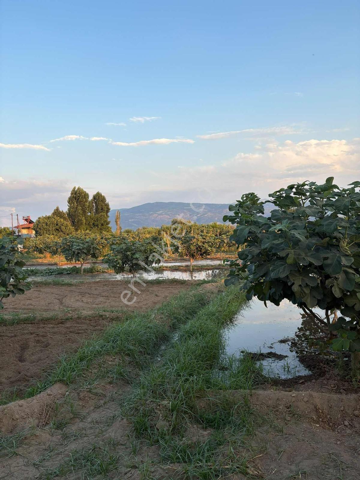 Musem Gayrimenkul'den Satılık Tarla — fotoğraf 19
