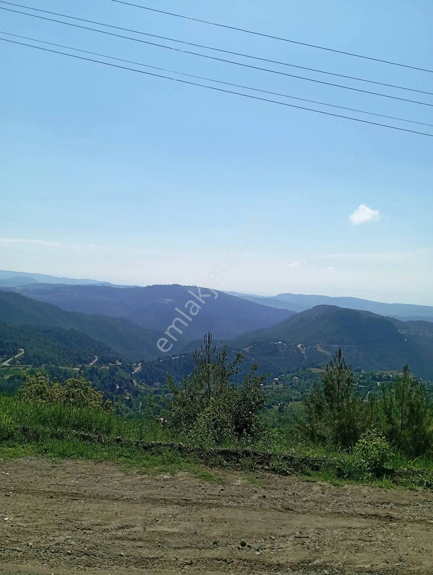 Aydın'Dan Erdemli Sinap Mah Satılık Acil Flrsat Verimli Toprak Bulunan Tarla Bah...