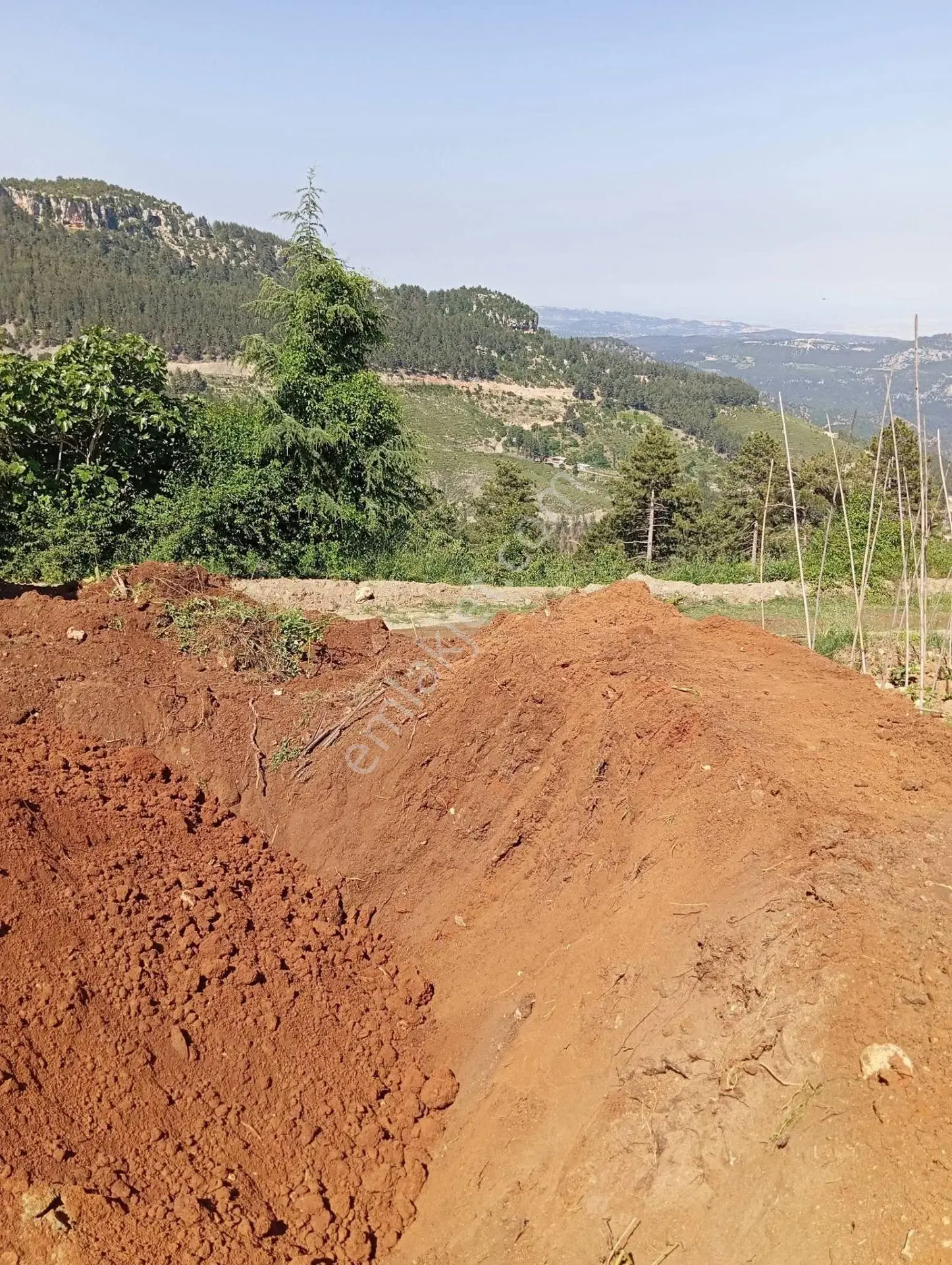 Aydın'dan Erdemli Sinap Mah Satılık Acil Flrsat Verimli Toprak Bulunan Tarla Bahçemiz 5.600 M² — fotoğraf 6