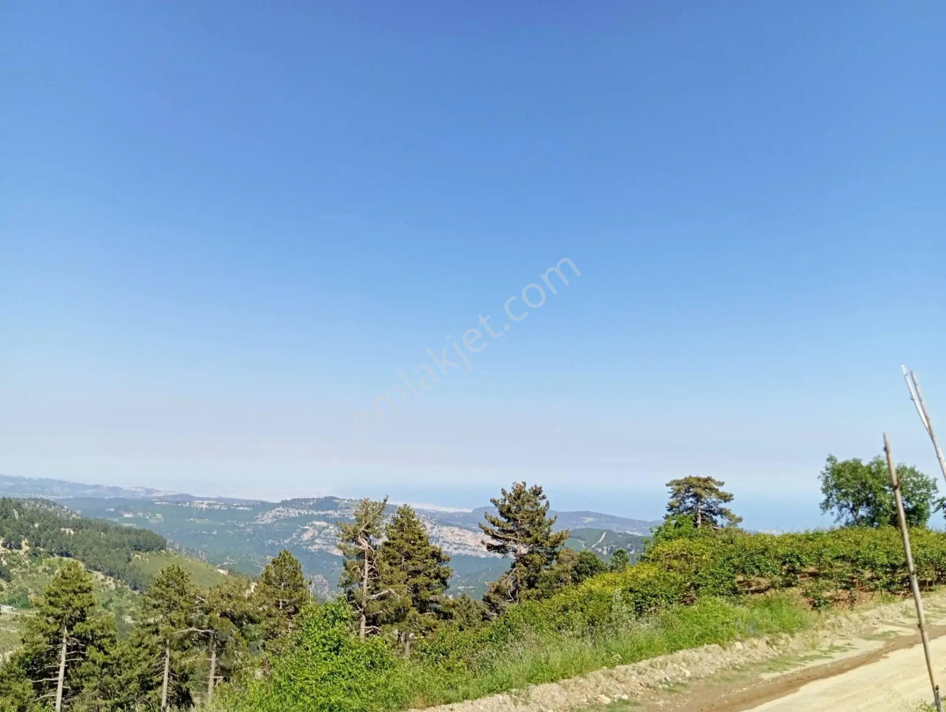 Aydın'dan Erdemli Sinap Mah Satılık Acil Flrsat Verimli Toprak Bulunan Tarla Bahçemiz 5.600 M² — fotoğraf 8